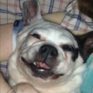 Meet your Posher, Jacob